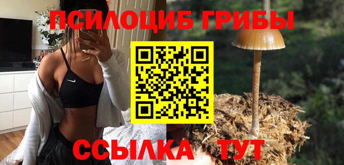 Шахты  Галлюциногенные грибы Psilocybe  Вход с VPN  Галлюциногенные грибы Psilocybine cubensis 